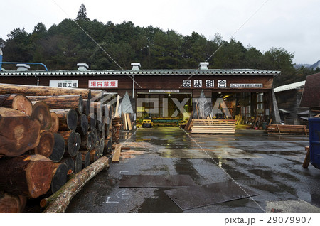 製材所 製材所 29079907