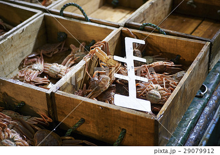 漁業 漁業 29079912