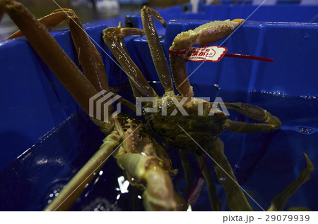 漁業 漁業 29079939