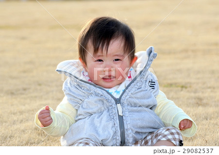 泣く赤ちゃん 泣く赤ちゃん 29082537