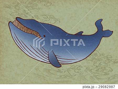 クジラ シロナガスクジラ ヒゲクジラのイラスト素材 29082987 Pixta
