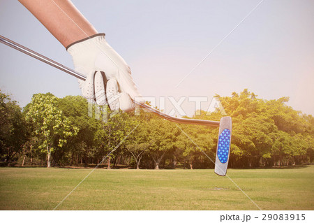 Golf handle on grass. Golf handle on grass. 29083915