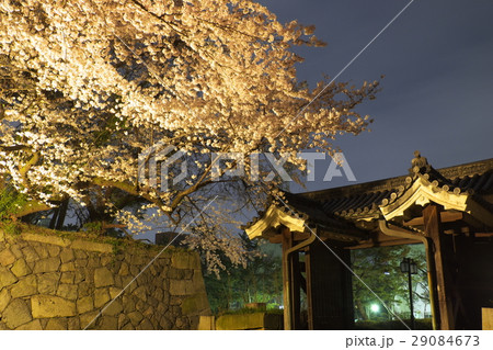 名古屋城 桜 二之丸大手二之門 名古屋城 桜 二之丸大手二之門 29084673
