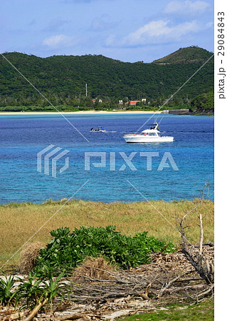 2月ケラマ諸島148座間味村・無人島安慶名敷島 2月ケラマ諸島148座間味村・無人島安慶名敷島 29084843
