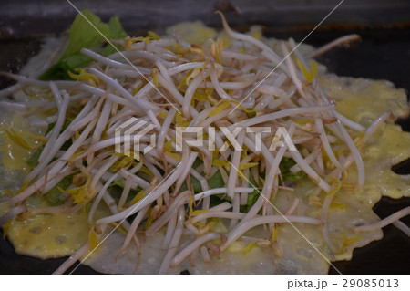 観光 見物 遊覧 29085013