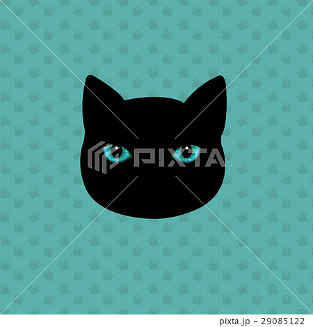 Black Cat 29085122