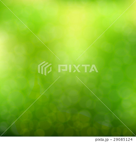 Blurred Green Background 29085124