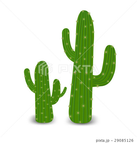 Cactus 29085126