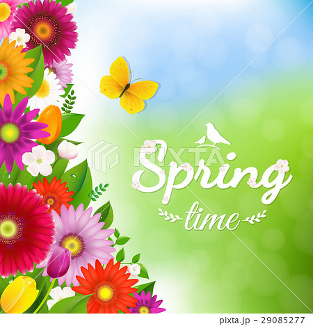 Spring Time Postcard With Butterfly 29085277