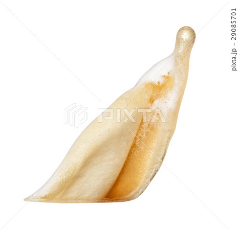 Beer splash isolate 29085701