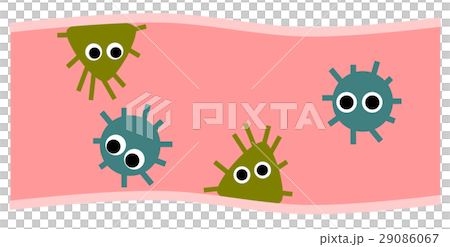 腸道細菌 腸道細菌 29086067