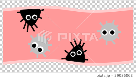 腸道細菌 腸道細菌 29086068