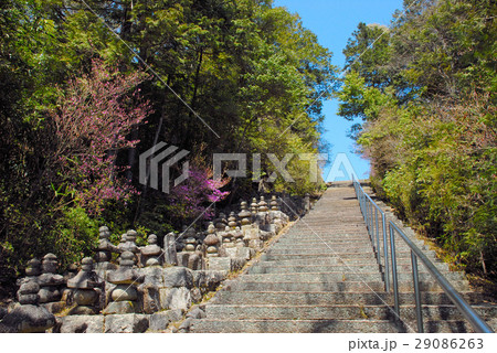 石塔寺 29086263