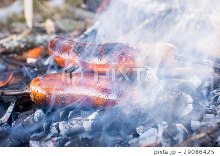 Sausages roasting on burning embers outdoors Sausages roasting on burning embers outdoors 29086425