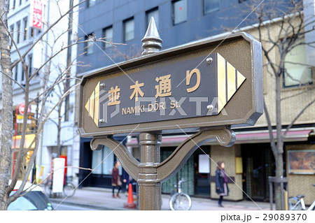 並木通り 29089370