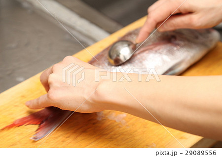 鯛料理　下ごしらえ 29089556
