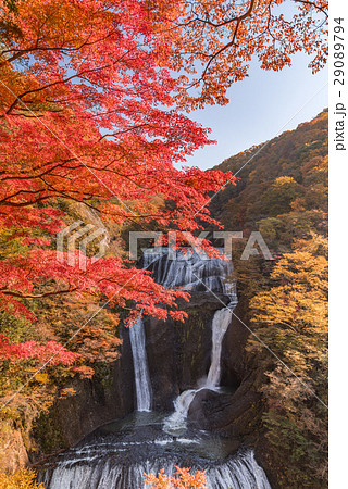 袋田の滝　秋の紅葉 29089794