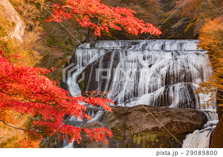 袋田の滝　秋の紅葉 29089800