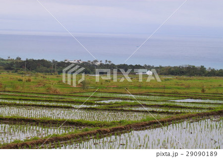 台湾 花蓮 東海岸 29090189
