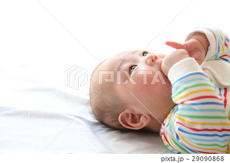 指しゃぶりをする赤ちゃん（生後三か月） 29090868