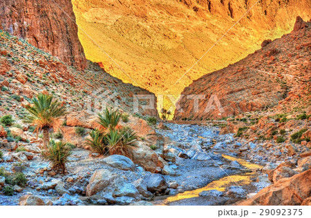 Todgha Gorge, a canyon in the Atlas Mountains 29092375