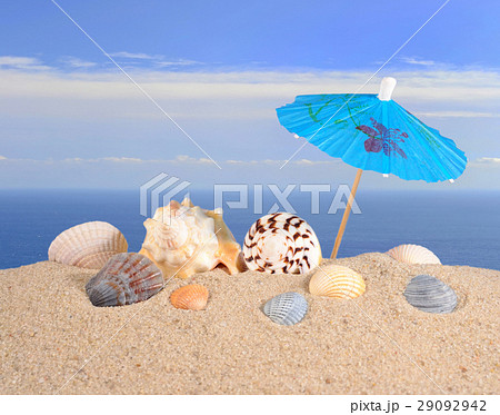 Seashells close-up in a beach sand Seashells close-up in a beach sand 29092942