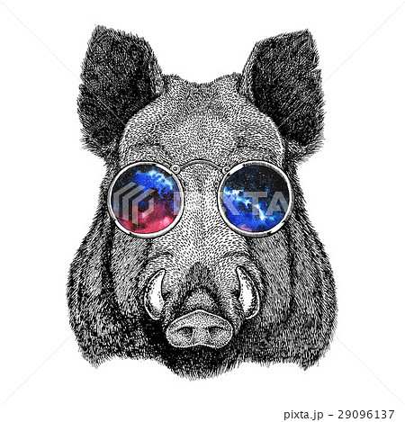 Cool Boar Picture For Beer Branding Food Brandingのイラスト素材