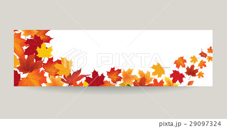Fall leaf nature banner Autumn leaves background Fall leaf nature banner Autumn leaves background 29097324
