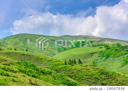 谷川連峰の山(平標山) 29097936