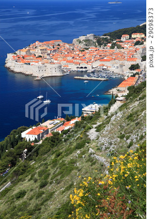 ドブロブニクの旧市街 29098373