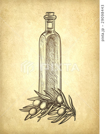 Bottle of olive oil and olive branch. 29098443