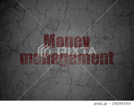Currency concept: Money Management on grunge wall 29099569