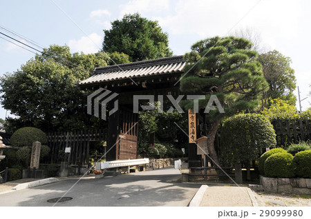 泉涌寺　総門 29099980
