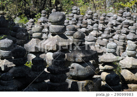 石塔寺　石仏群 29099983