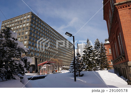 北海道庁と道庁旧本庁舎 29100578