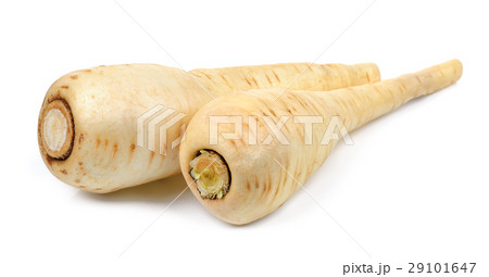 Parsnip isolated on the white background 29101647