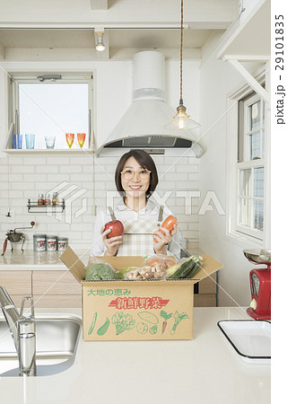 宅配野菜　産地直送　ふるさと納税県産品 29101835