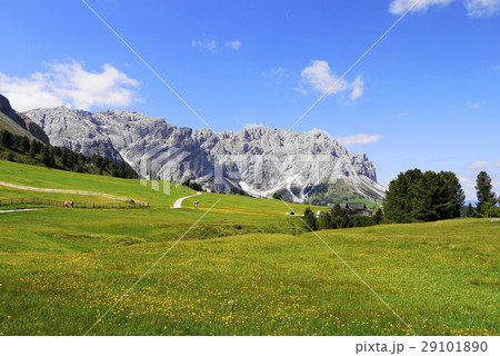 odle　di　eores　オドレ・ディ・エオレス　tullen 29101890