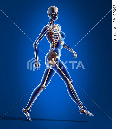 Walking woman with bone skeleton. Walking woman with bone skeleton. 29109098