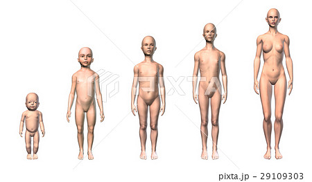 Female human body scheme of different ages stages. 29109303