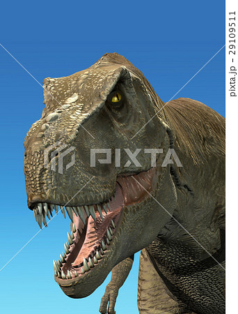 Photorealistic 3 D rendering of a Tyrannosaurus Rex. 29109511