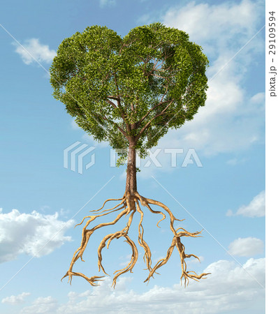 Tree with foliage with the shape of a heart and roots as text Love. Tree with foliage with the shape of a heart and roots as text Love. 29109594