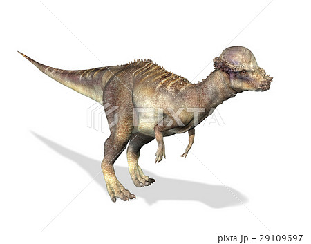 Photorealistic 3 D rendering of a Pachycephalosaurus. 29109697