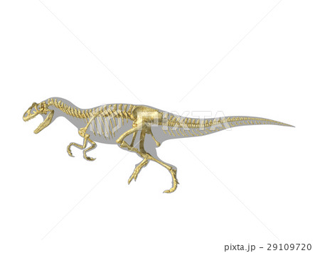 Allosaurus dinosaur silhouette with photo-realistic skeleton. 29109720