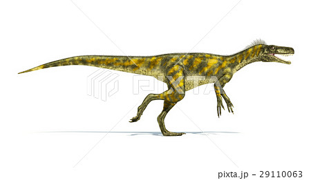 Herrerasaurus Dinosaur Photorealistic Stock Illustration