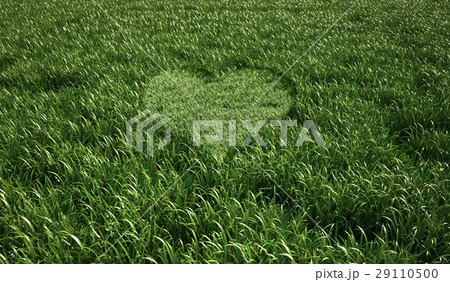 Grass meadow, bird eye view, with a heart shape cut grass in the middle. 29110500