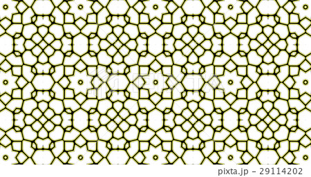 Abstract ornate geometric luxury pattern Abstract ornate geometric luxury pattern 29114202