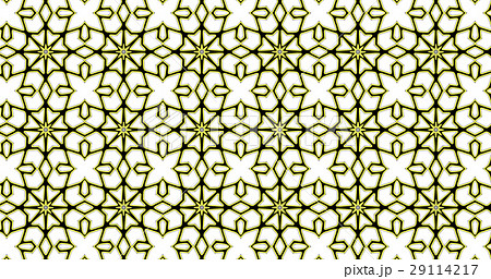 Abstract ornate geometric luxury pattern Abstract ornate geometric luxury pattern 29114217