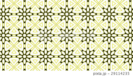 Abstract ornate geometric luxury pattern Abstract ornate geometric luxury pattern 29114235