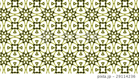 Abstract ornate geometric luxury pattern Abstract ornate geometric luxury pattern 29114236